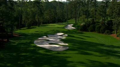 Hole 10: Camellia